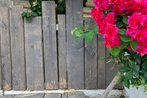 Bougainvillea flowers against a wooden plank background