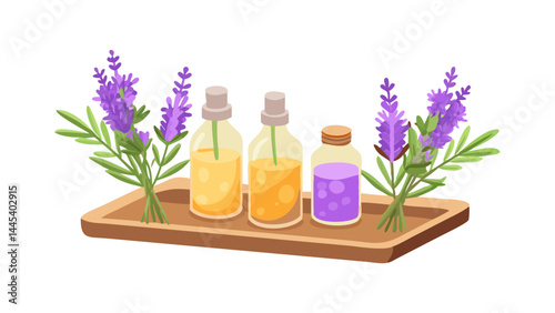 Collection of essential oil bottles with herbs and lavender illustration