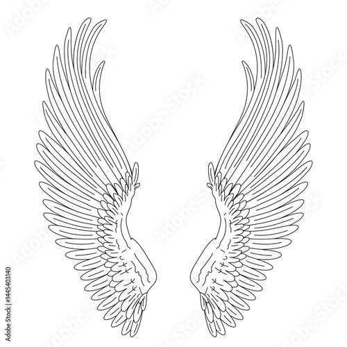 vector wings bird animal. Cartoon black and white clip art isolated on transparent background. Hand drown design element. 