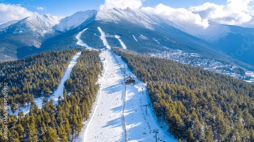Bansko, Bulgaria: Ski slope in forest, mountain scenery.