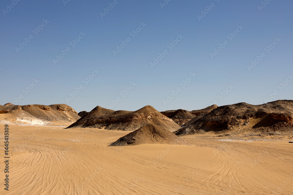 The Desert of Obstacles Environment in Egypt
