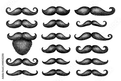 Different styles of mustaches and beards represented in vector format for design and illustration projects