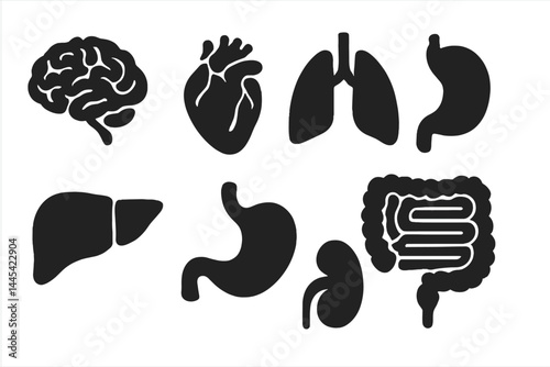 Vector icons illustrating human organs including brain, heart, lungs, stomach, liver, kidneys, and intestines for educational purposes
