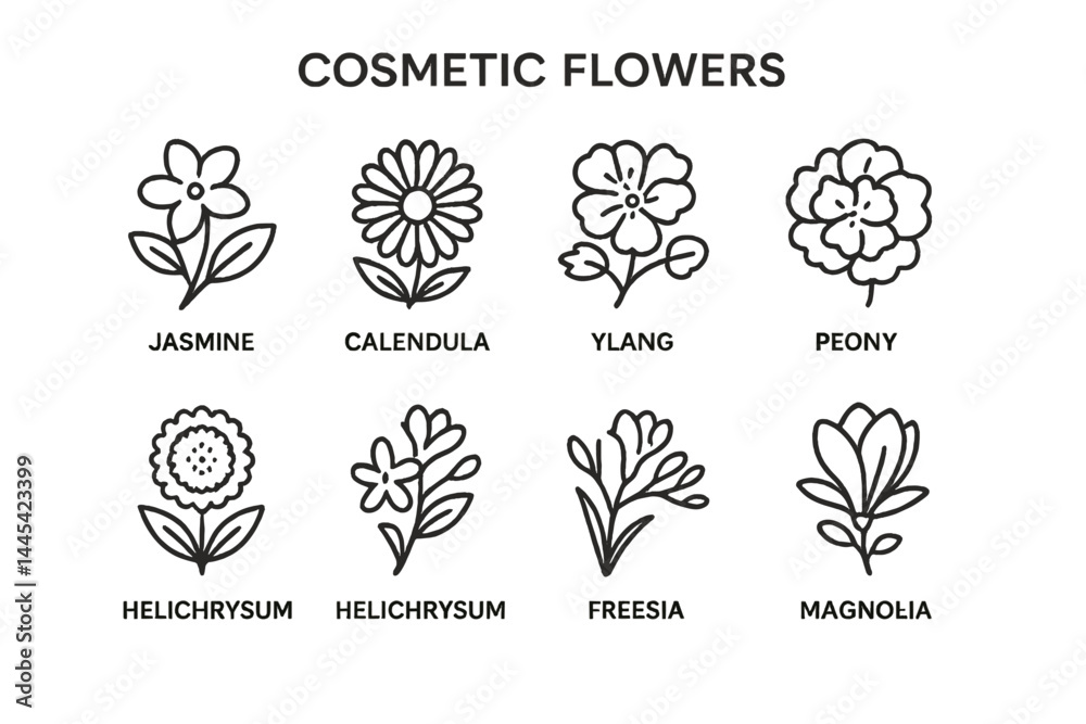 Fototapeta premium Collection of vector icons depicting various cosmetic flowers like jasmine, calendula, ylang, and peony for graphic design use