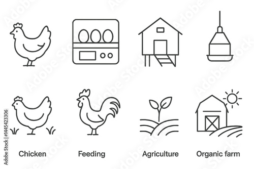 Vector icon representing chicken farming, feeding practices, and sustainable agriculture in an organic farm setting