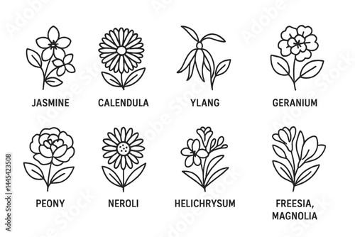Floral vector icons showcasing various types of flowers with detailed botanical representations and labels for each species