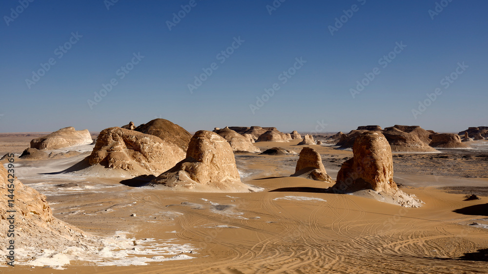 The Desert of Obstacles Environment in Egypt