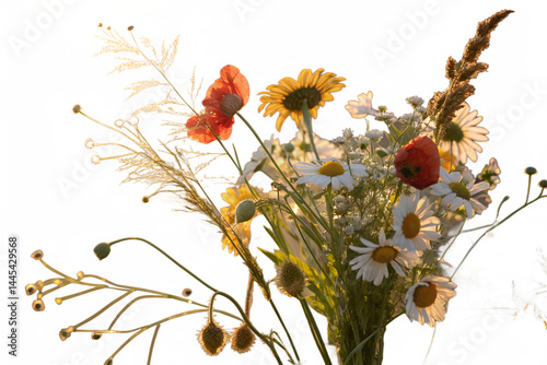 A few fully bloomed wildflowers, gently scattered and isolated on a transparent background. The set includes 2–4 vibrant sunflowers, 2 delicate daisies or chamomile flowers, and 1–2 vivid red poppies.