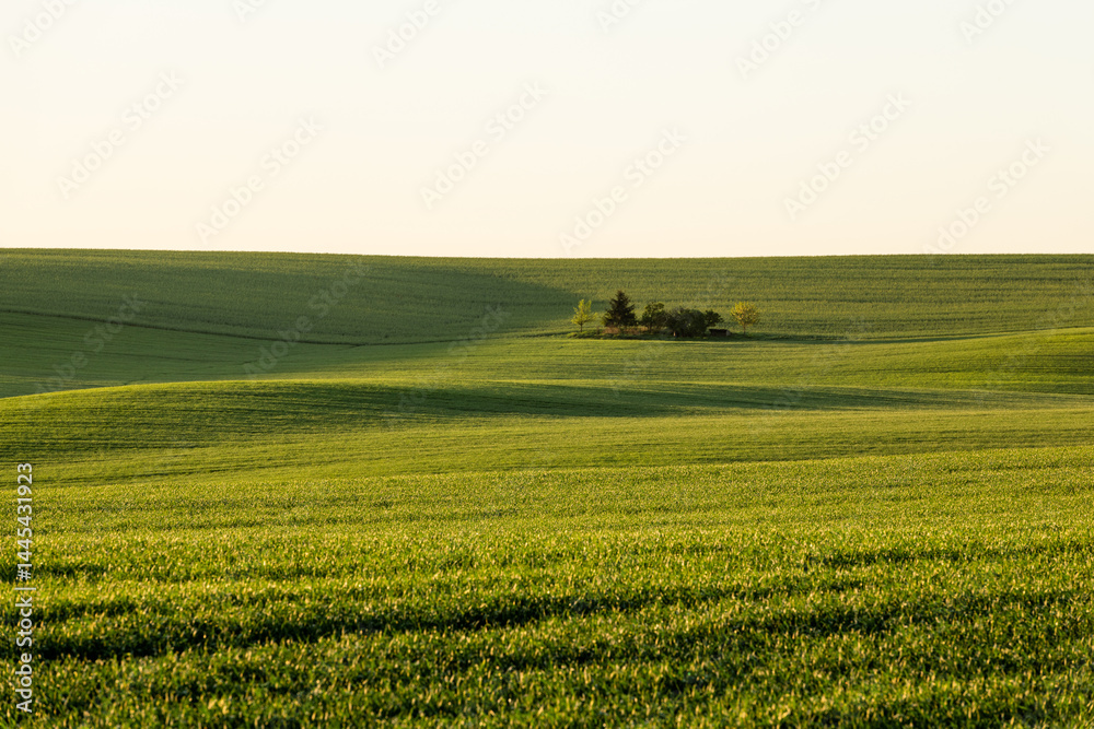 Colorful agriculture landscape at spring