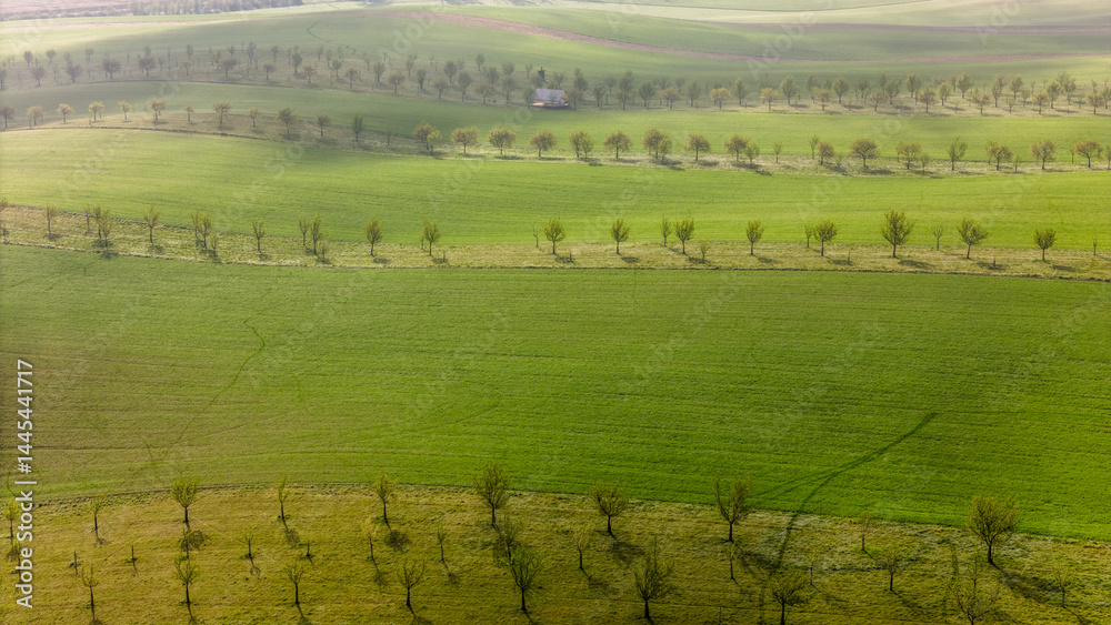 Aerial drone view of agriculture landscape in Moravia