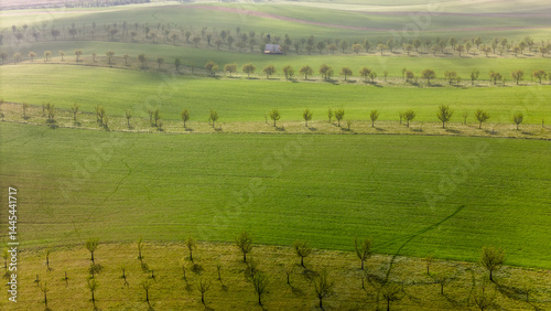 Obraz na płótnie Aerial drone view of agriculture landscape in Moravia w salonie
