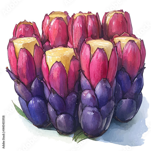 Ackee Fruit Fully Opened, watercolor vector, isolated on a white background.