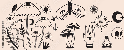 Hand-drawn vintage mystical and magic symbols illustration
