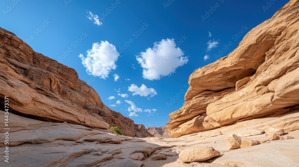 Fototapeta premium Expansive view of rocky canyons under a bright blue sky with fluffy white clouds.