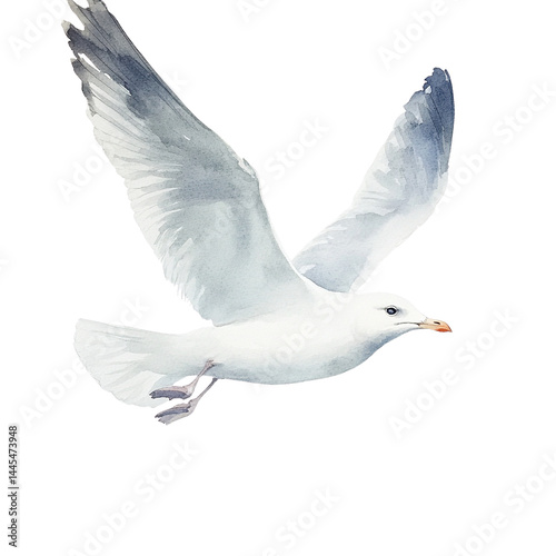 Ethereal seagull in mid-flight against a stark black backdrop of watercolor style