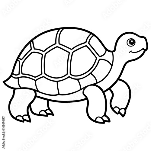 Tortoise Outline Vector Graphic