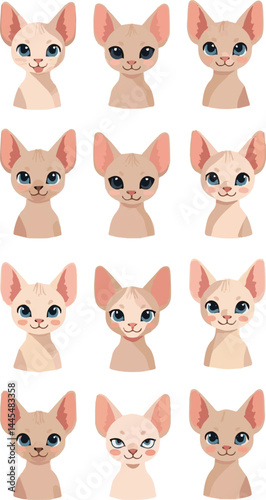 A collection of cute cartoon kitten pet heads in a modern flat illustration style, showcasing a hairless Sphynx cat with wrinkled skin and large ears, set against a white background.