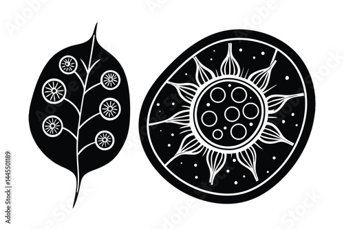 Biological Vector Illustration of Photosynthesis in Plant Cells