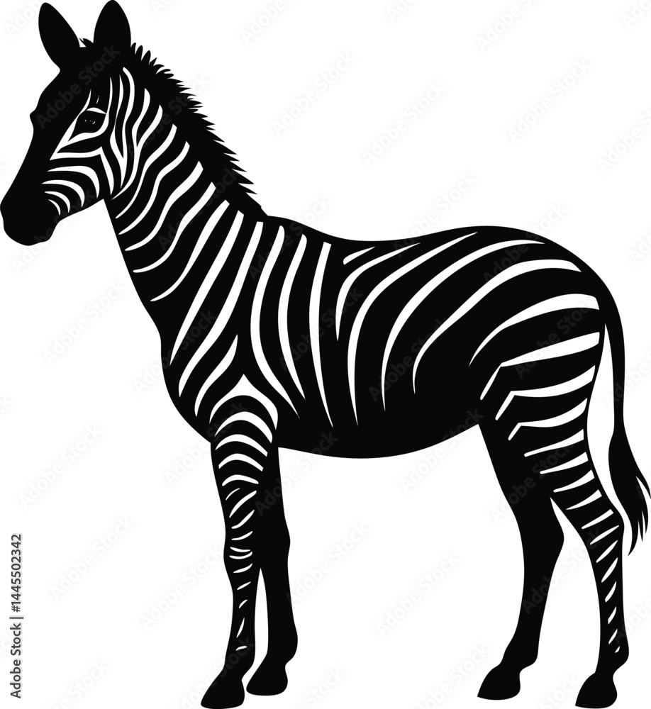 Fototapeta premium silhouette of a zebra standing still on white background