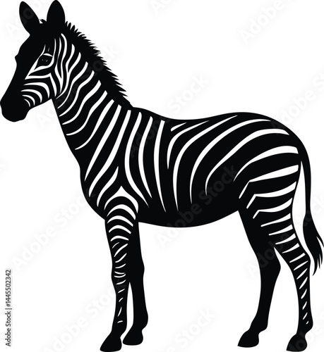 silhouette of a zebra standing still on white background