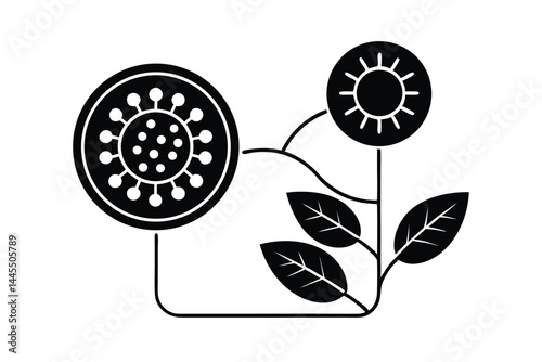 Biological Vector Illustration of Photosynthesis in Plant Cells