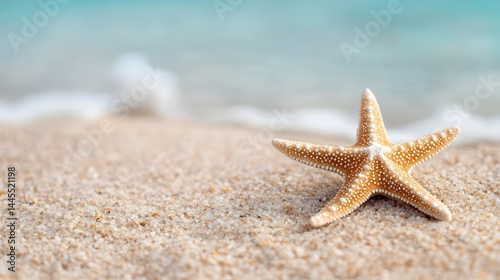 Starfish on a sandy tropical beach