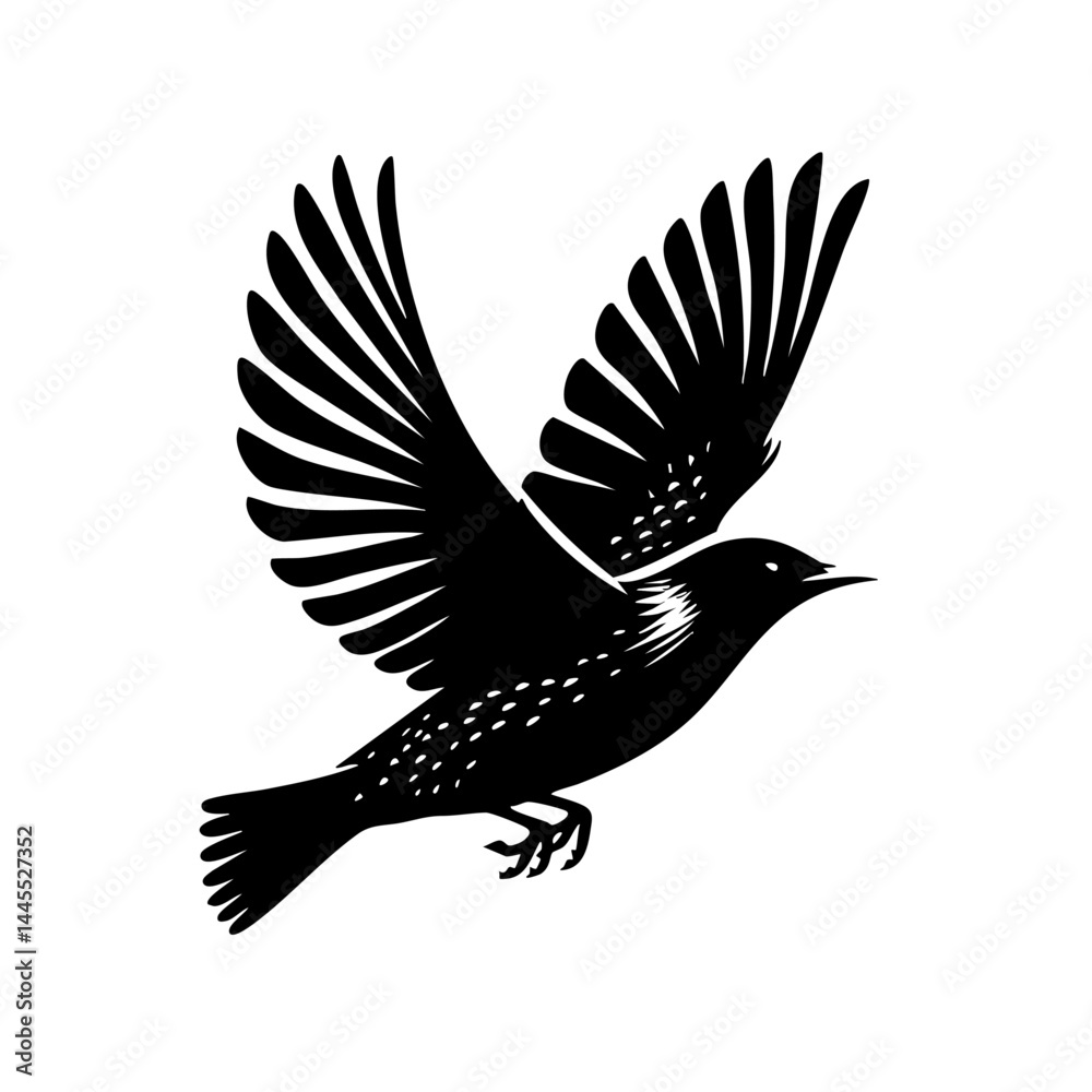 Obraz premium Majestic Bird in Flight: A Black and White Silhouette