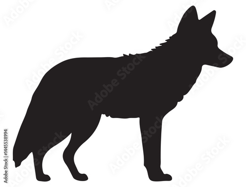  COYOTE SILHOUETTE WHITE BACKGROUND