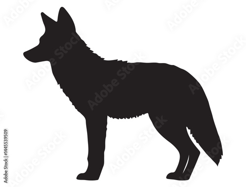  COYOTE SILHOUETTE WHITE BACKGROUND