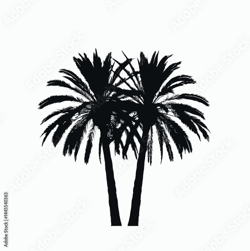 Whispers of the Palm Tree