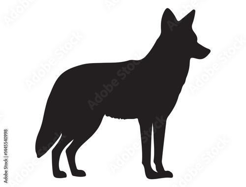  COYOTE SILHOUETTE WHITE BACKGROUND