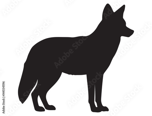 COYOTE SILHOUETTE WHITE BACKGROUND