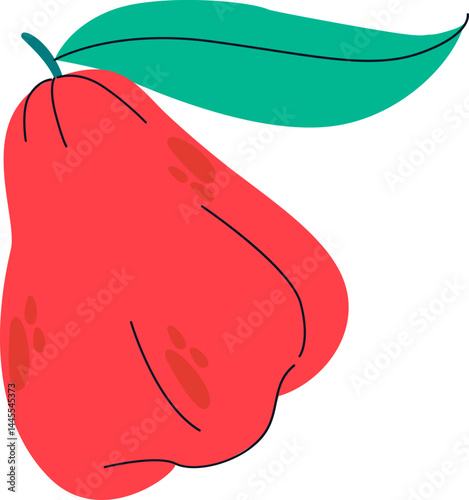 Red Pear Illustration