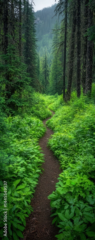 Fototapeta premium A narrow dirt path winds through lush green forest, surrounded by tall trees and dense vegetation, leading towards distant hills.