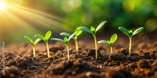 Tiny green shoots emerging from soil surface, surrounded by earthy tones and gentle light, earthy, flora,  earthy, flora