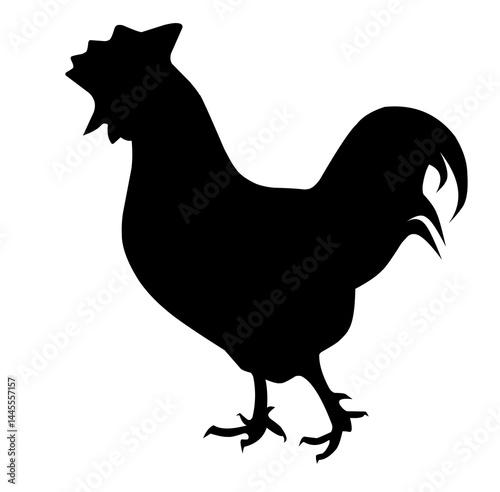 silhouette of a chicken on white, Vector chicken. Silhouette isolated on white background