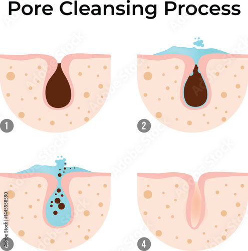 Pore Cleansing Process A Step-by-Step Guide to Clear Skin Design Vector Illustration