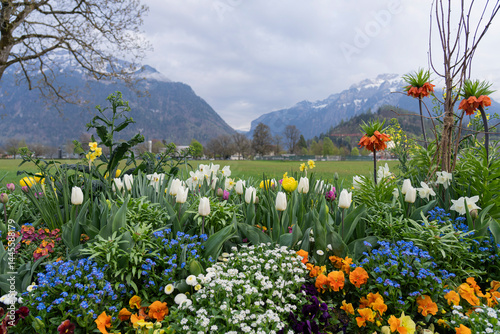 Mountain view in Interlacken, Switzerland