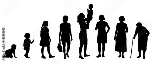 Female life stages silhouette. Woman's age progression vector illustration. Women's generation silhouettes on a white background.