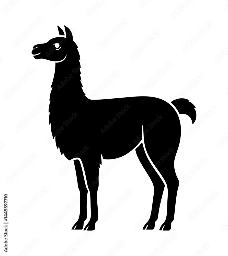 Fototapeta premium Alpaka lama kontur