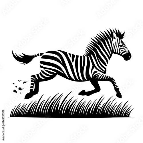 Striped Zebra Running in the Grassland