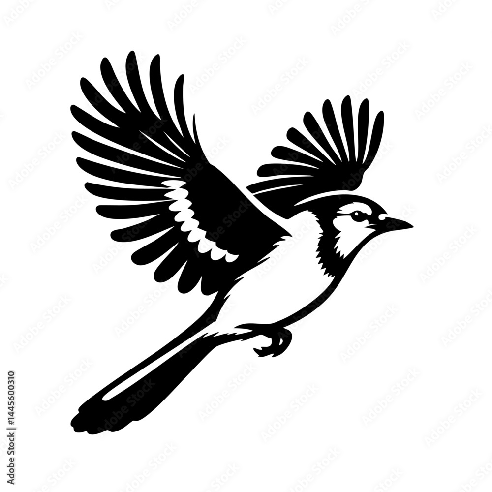 Fototapeta premium Majestic Bird in Flight: Black and White Avian Silhouette