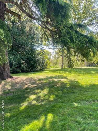 Tableau sur toile Sunny Park Landscape with Tree Shadows taken at sanderingham park 29th April 13