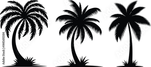 palm tree silhouette | Black and White Beach with Ocean Waves and Palm Tree| vector illustration Isolated on White Background