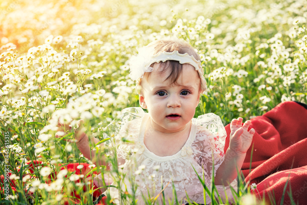Happy little baby girl sitting in the flowers field on a sunny day