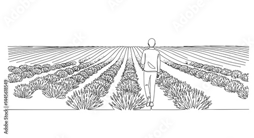 Farmer walking through a field of crops in a linear style  