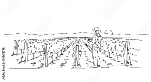 Farmer inspecting vineyard during sunset  