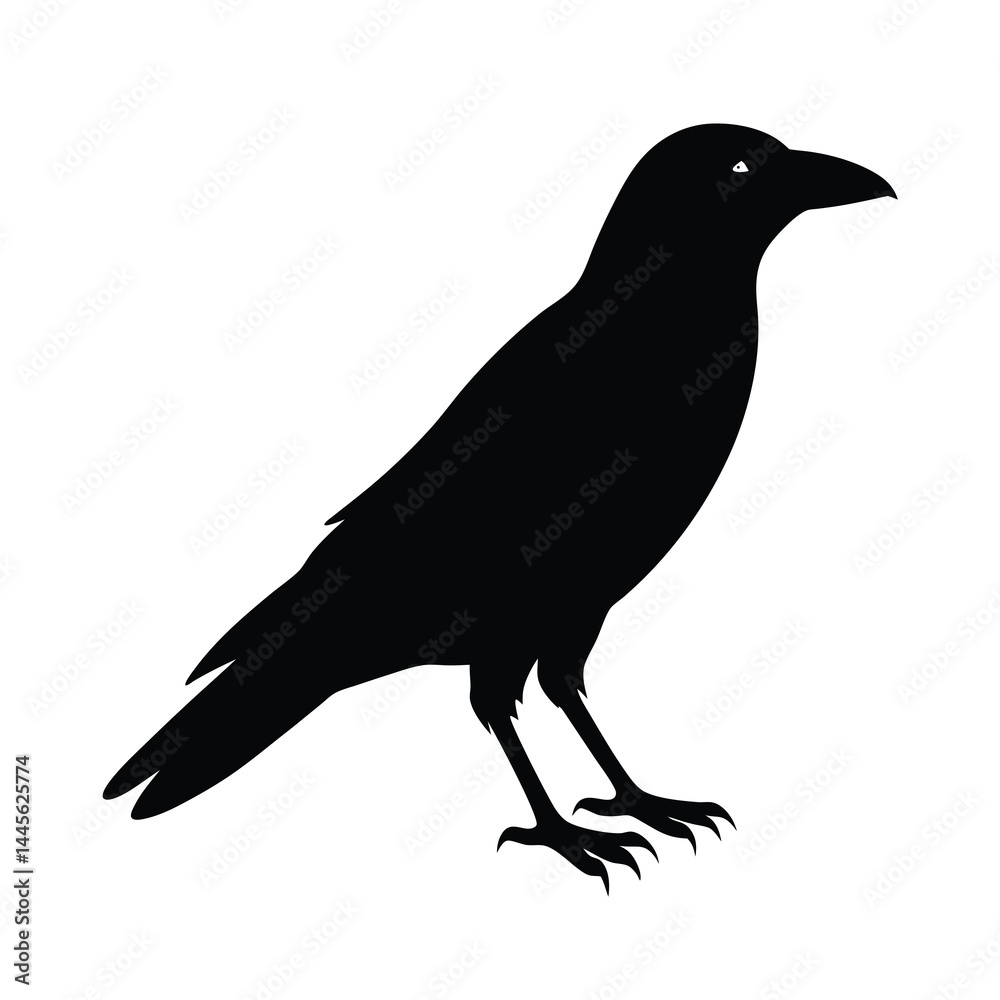 Fototapeta premium crow profile silhouette vector sharp and minimal