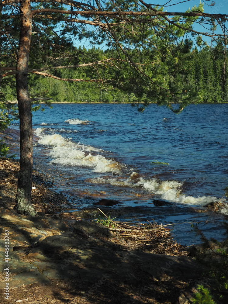 Fototapeta premium Waves hit the shore in the shade of the trees
