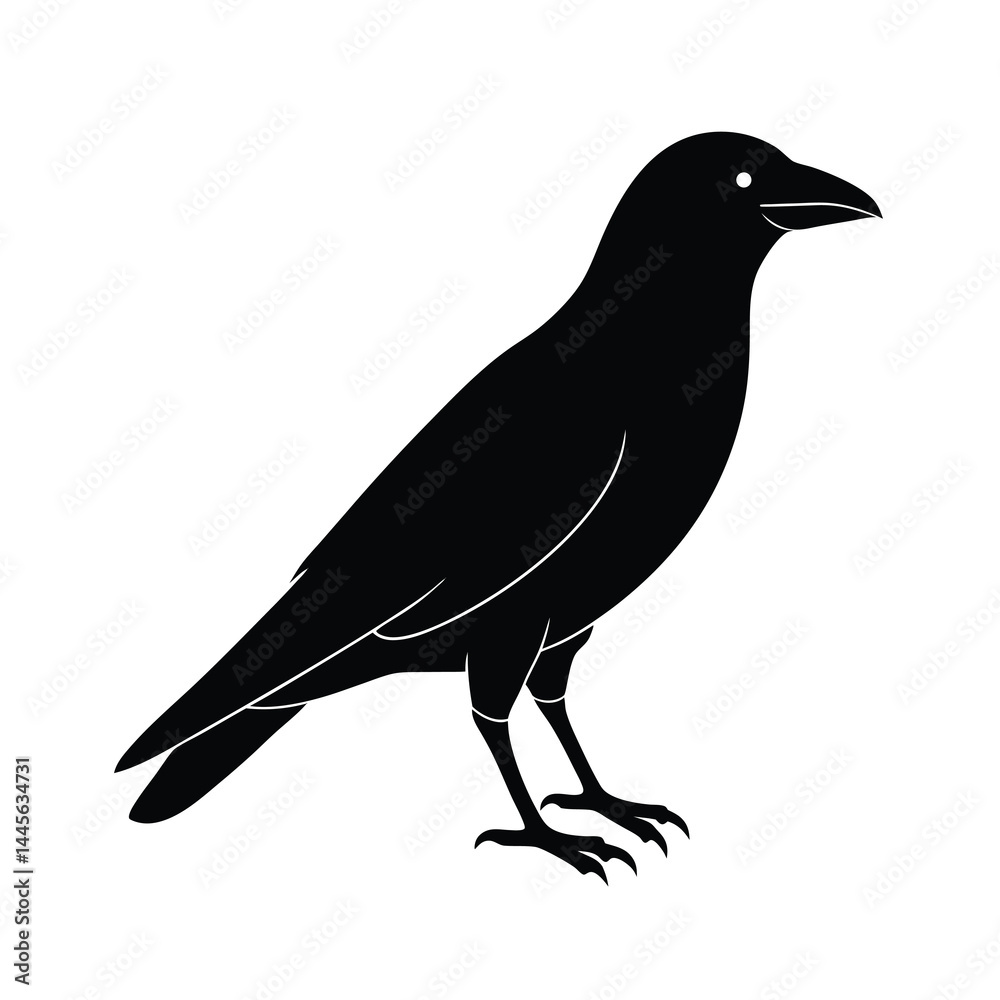 Fototapeta premium crow silhouette bird vector icon dark and strong